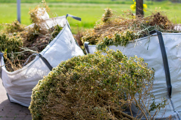 Best Electronics and E-Waste Disposal  in Normandy Park, WA